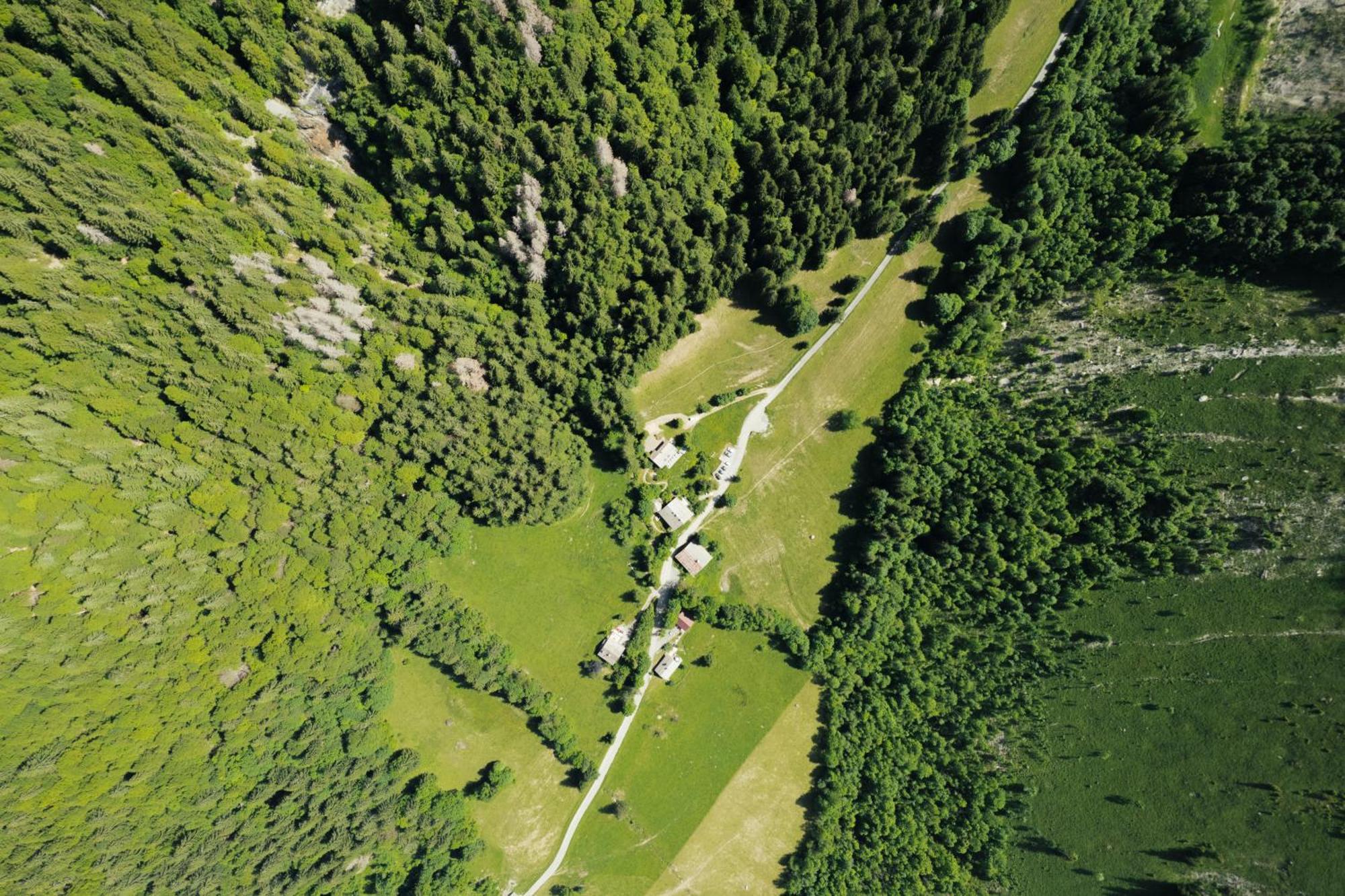 Chalet 1864 Le Grand-Bornand Esterno foto