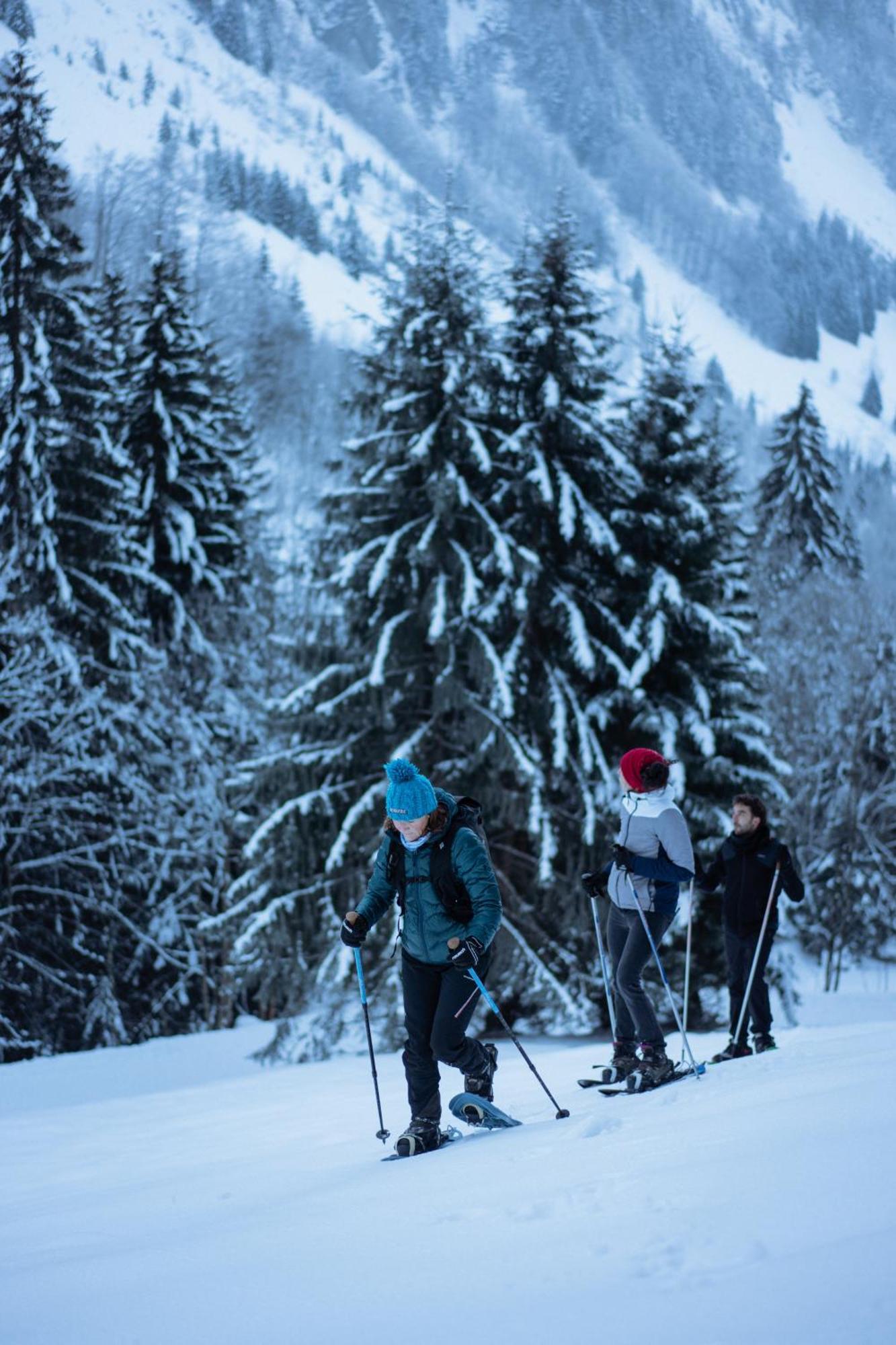 Chalet 1864 Le Grand-Bornand Esterno foto